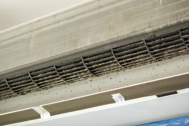 Best Professional Duct Cleaning Services  in Raymond, WA